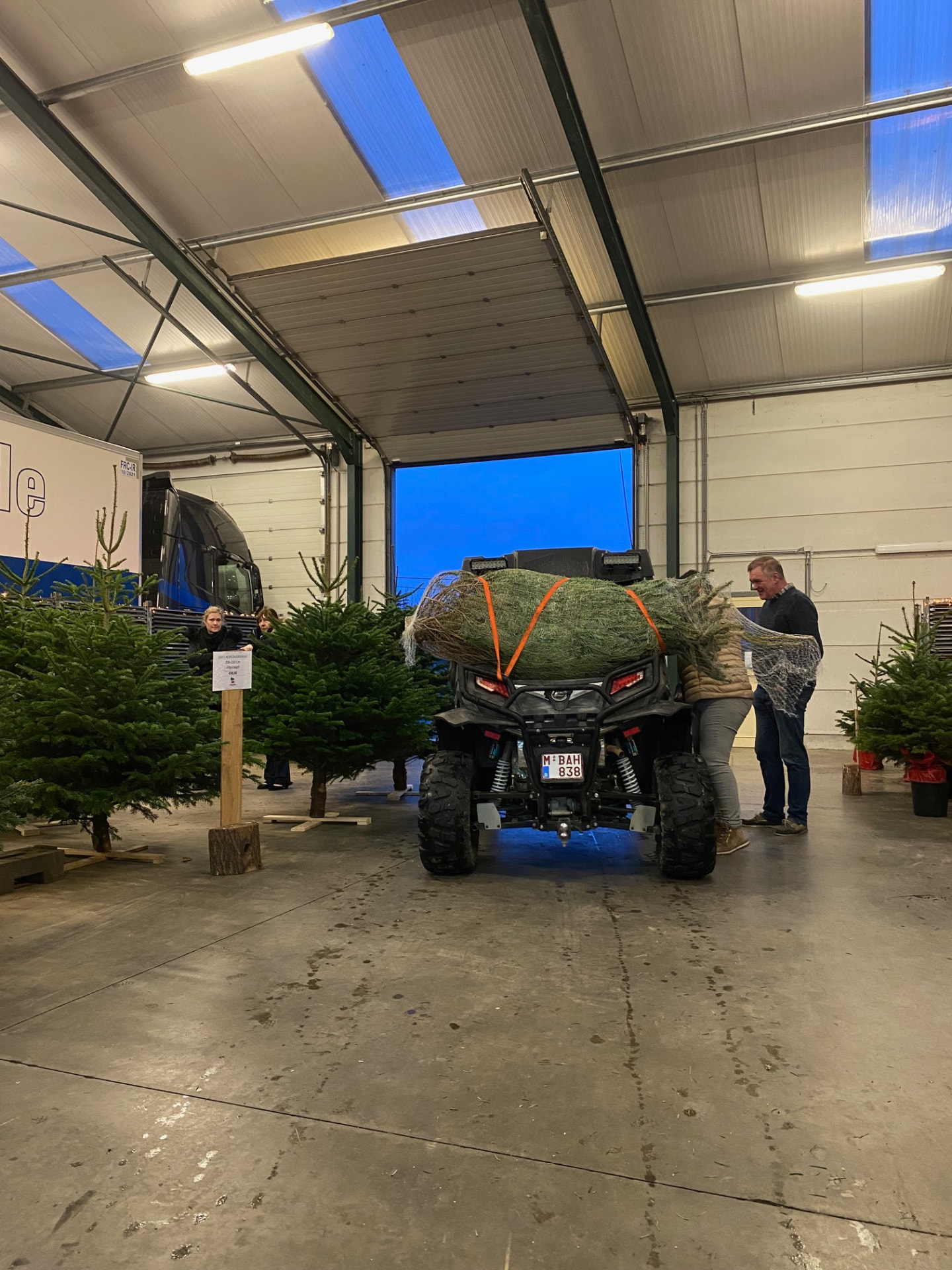 Kerstbomen Drive-in Lochristi sfeerbeeld 3